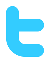 Twitter logo initial